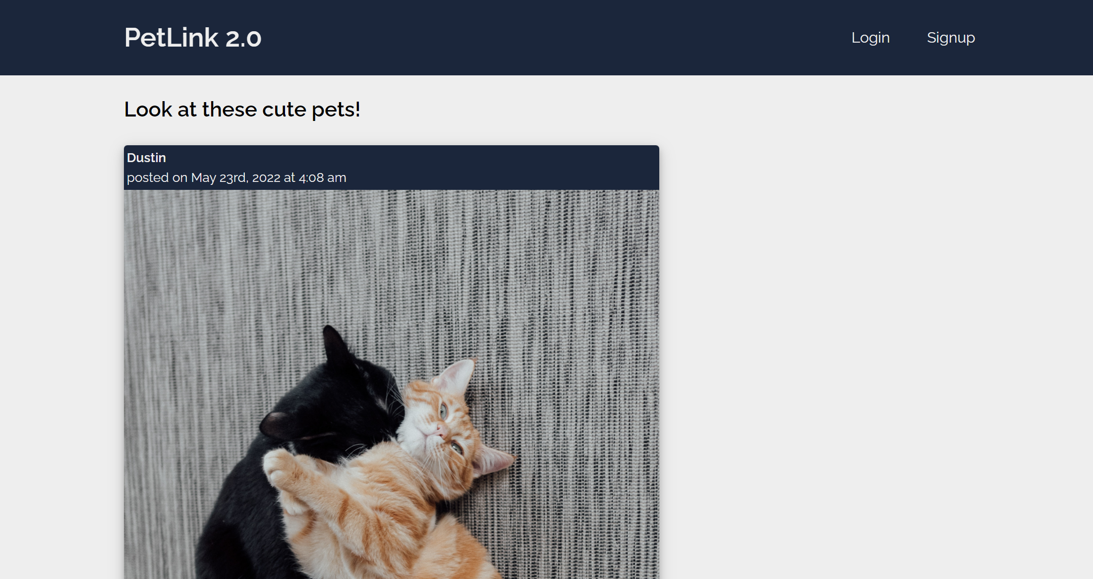 Pet-Link: an app for posting and comenting on cute pet posts